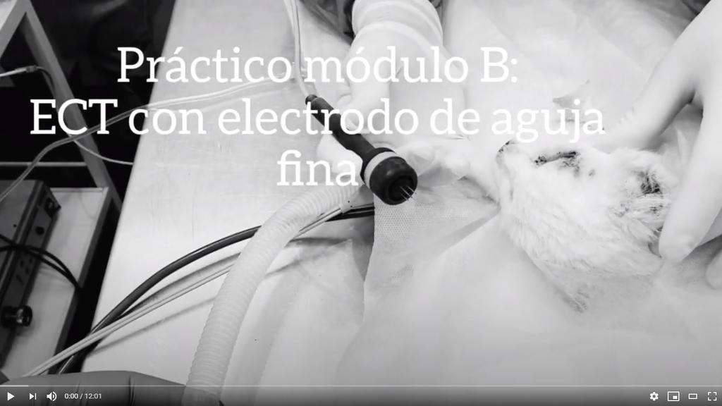 Curso Electroquimioterapia Online